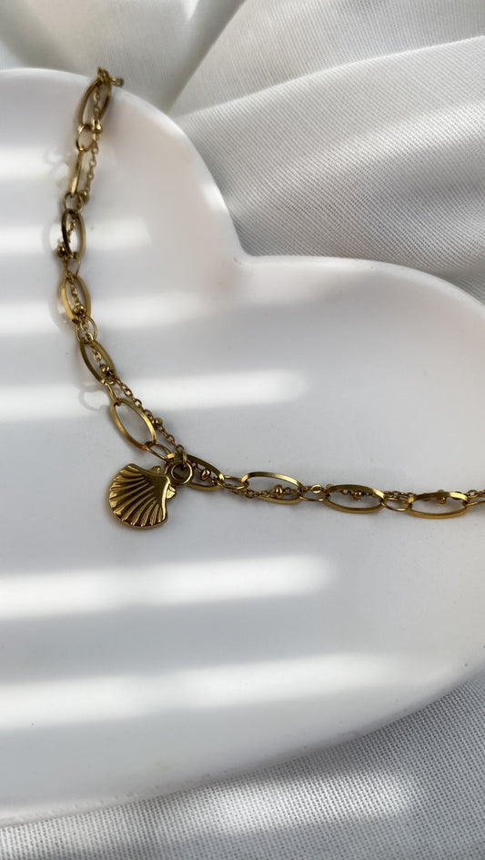 Shell Bracelet